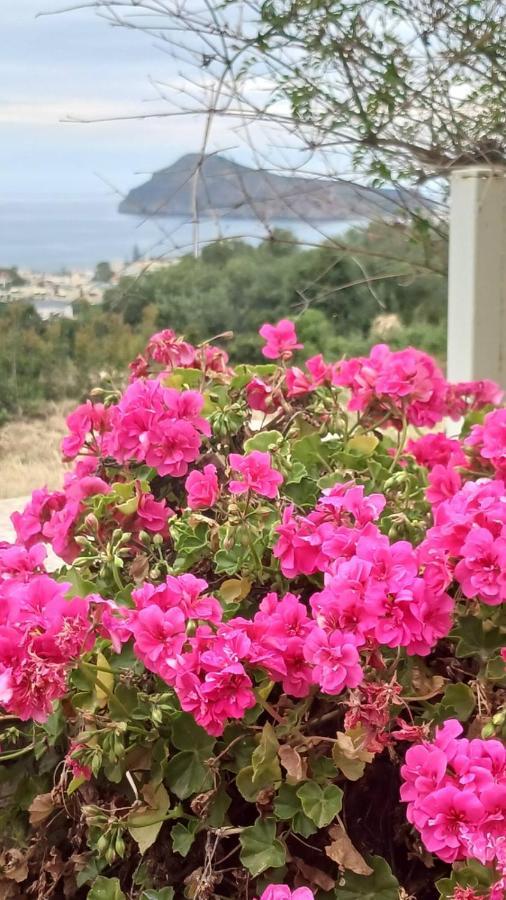 Apartment Venizelos Platanias (Crete)