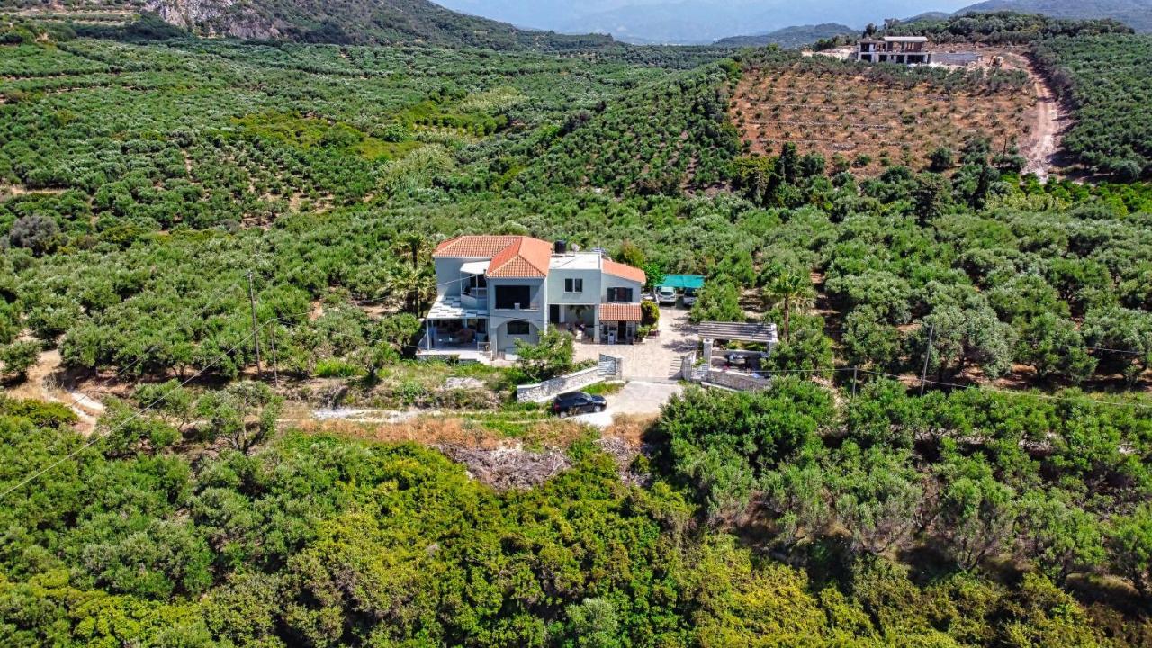 Venizelos Apartment